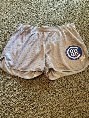 So Nikki Gray Mesh Shorts with Blue BR Logo
